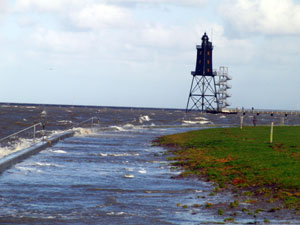 Flut